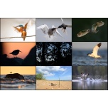 FOTOGRAAFIA KOOLITUS 02.05.2026