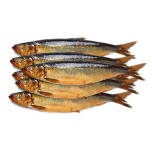 SUITSUTATUD KILU 400g